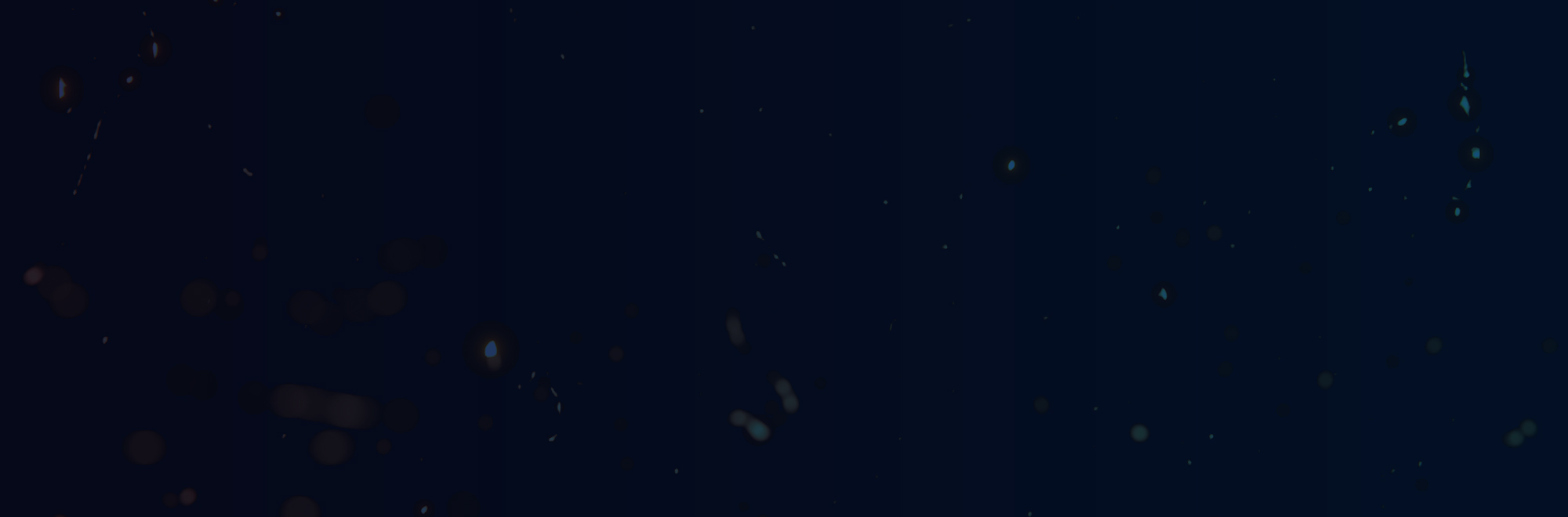 bnr_contact_bg
